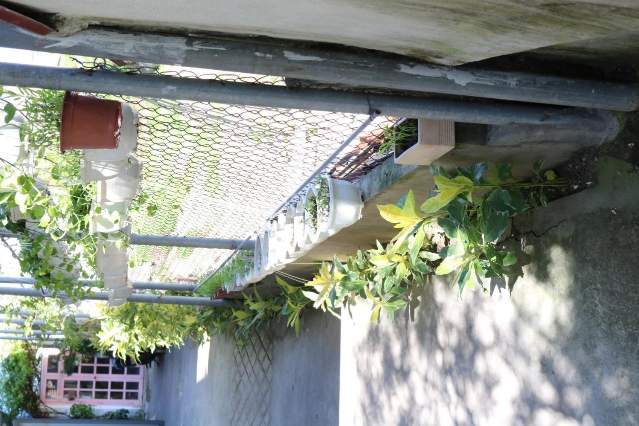 Green Garden House Hội An Kültér fotó