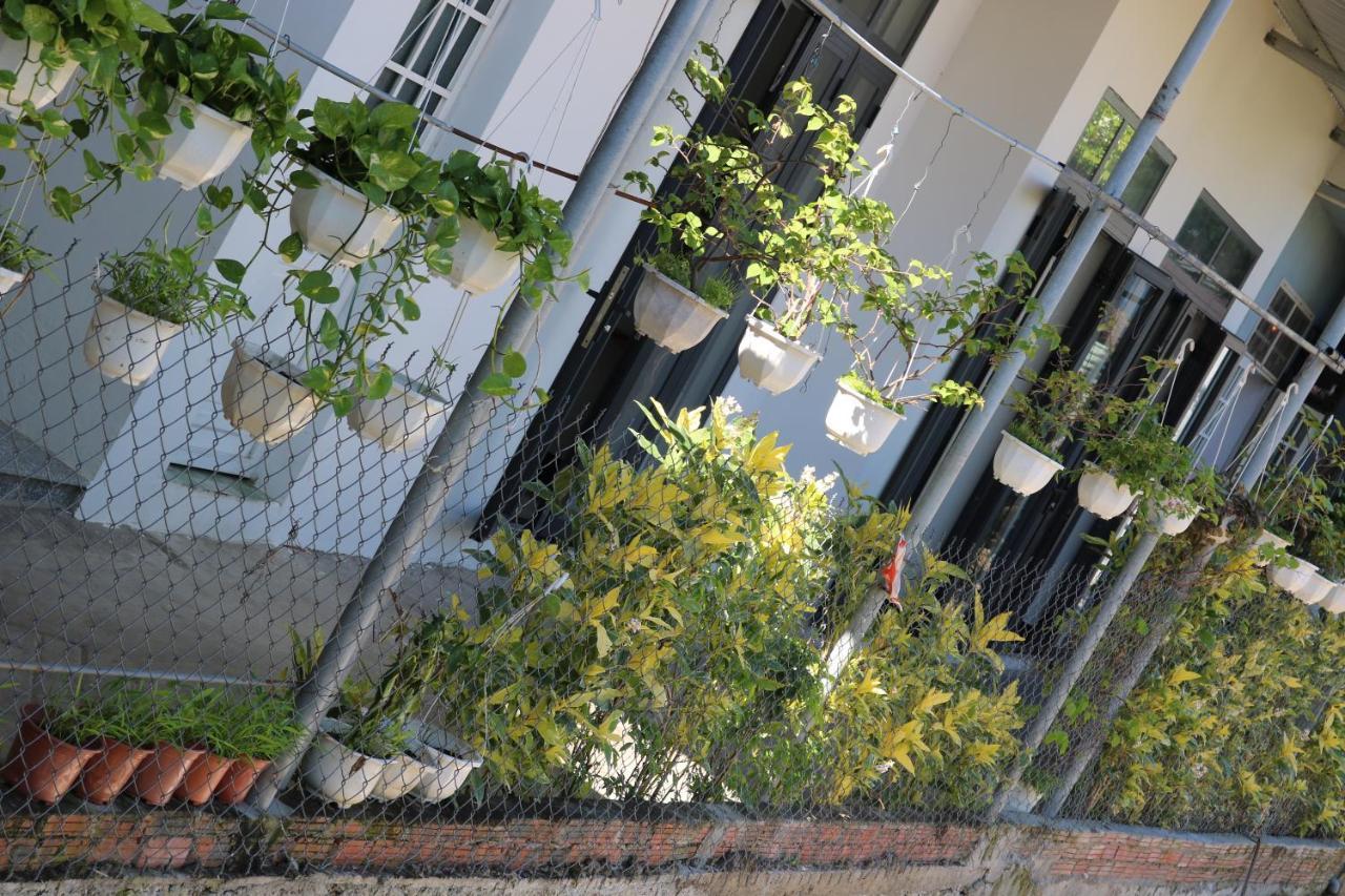 Green Garden House Hội An Kültér fotó